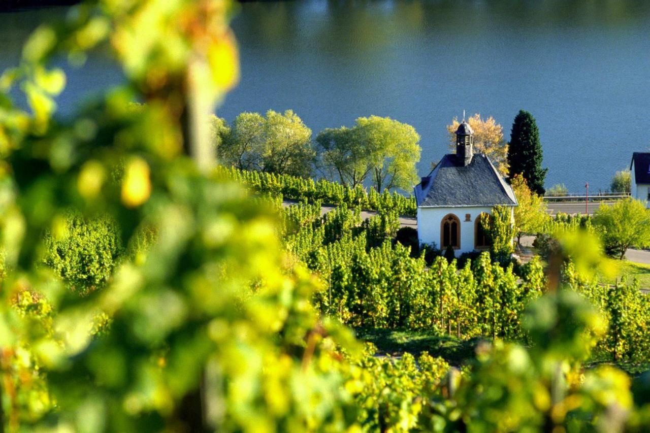 Weingut Christoffel Daire Kövenig Dış mekan fotoğraf